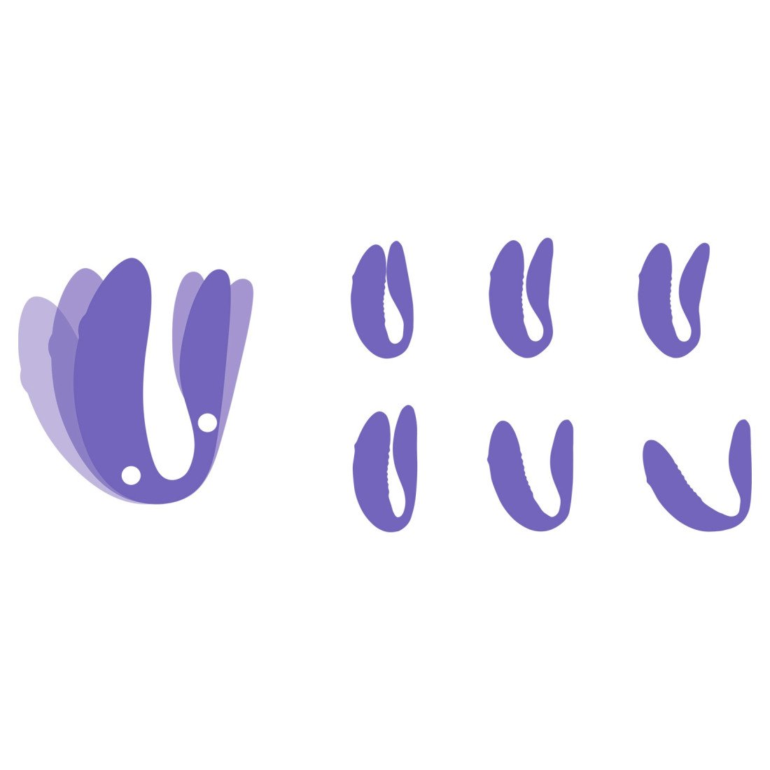 Išmanusis vibratorius poroms „We-Vibe Chorus“ - We-Vibe