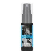 Feromoninis purškalas automobiliui „Chick Magnet Car Spray“, 15 ml