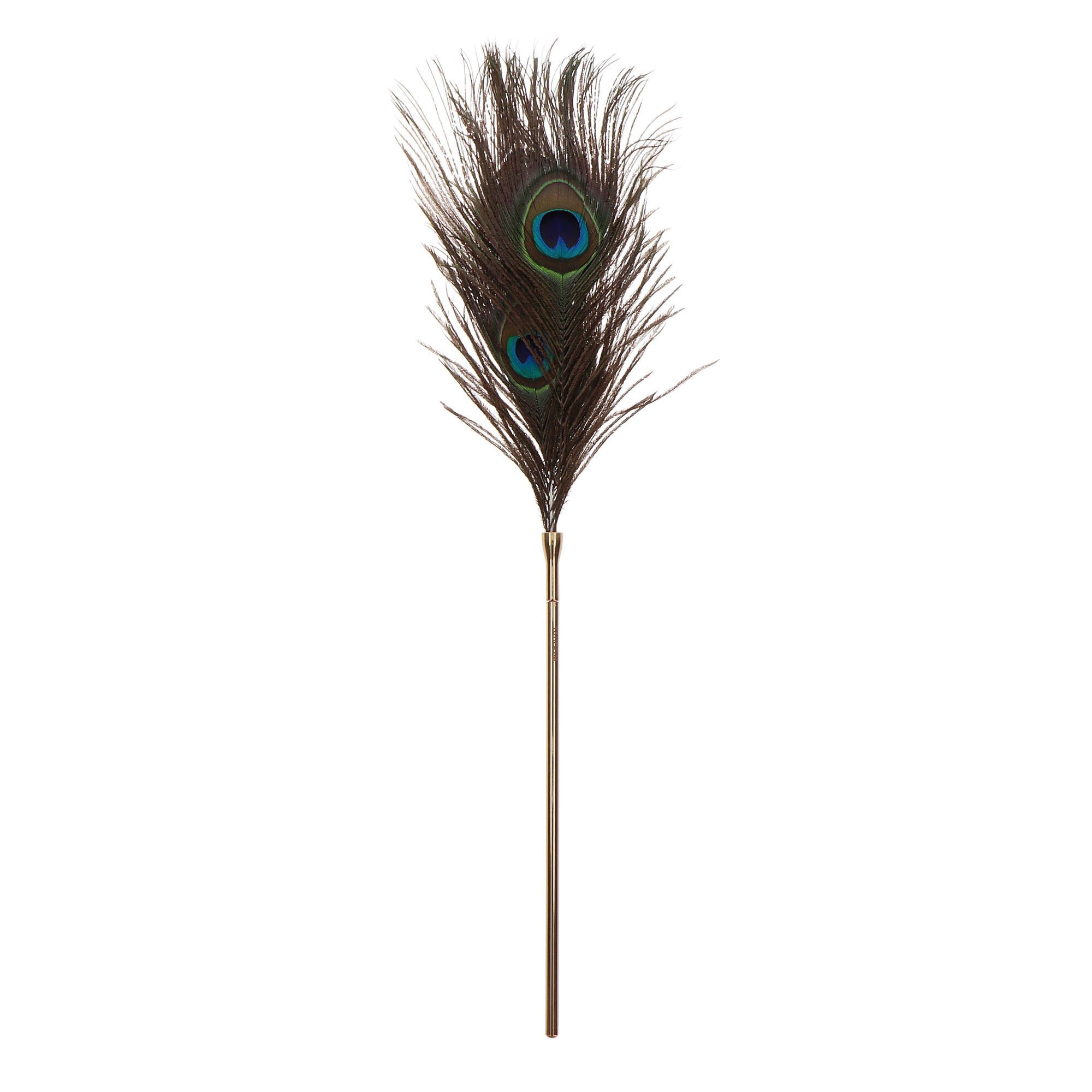 Plunksnų botagas „Dona Peacock“ - Taboom