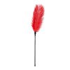 Plunksnų botagas „Feather Tickler“ - EasyToys