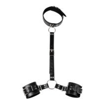 Suvaržymo sistema „Collar and Wirst Restraints“ - Latetobed