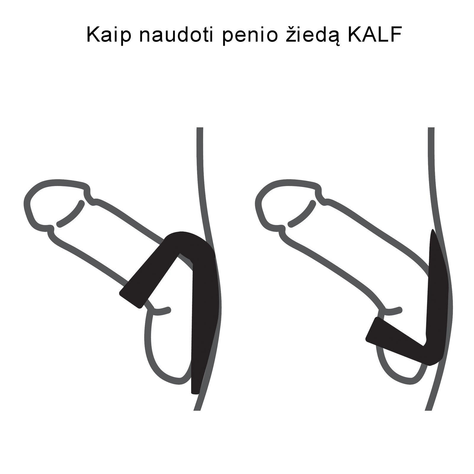 Penio ir sėklidžių žiedas „Kalf“ - Velvor