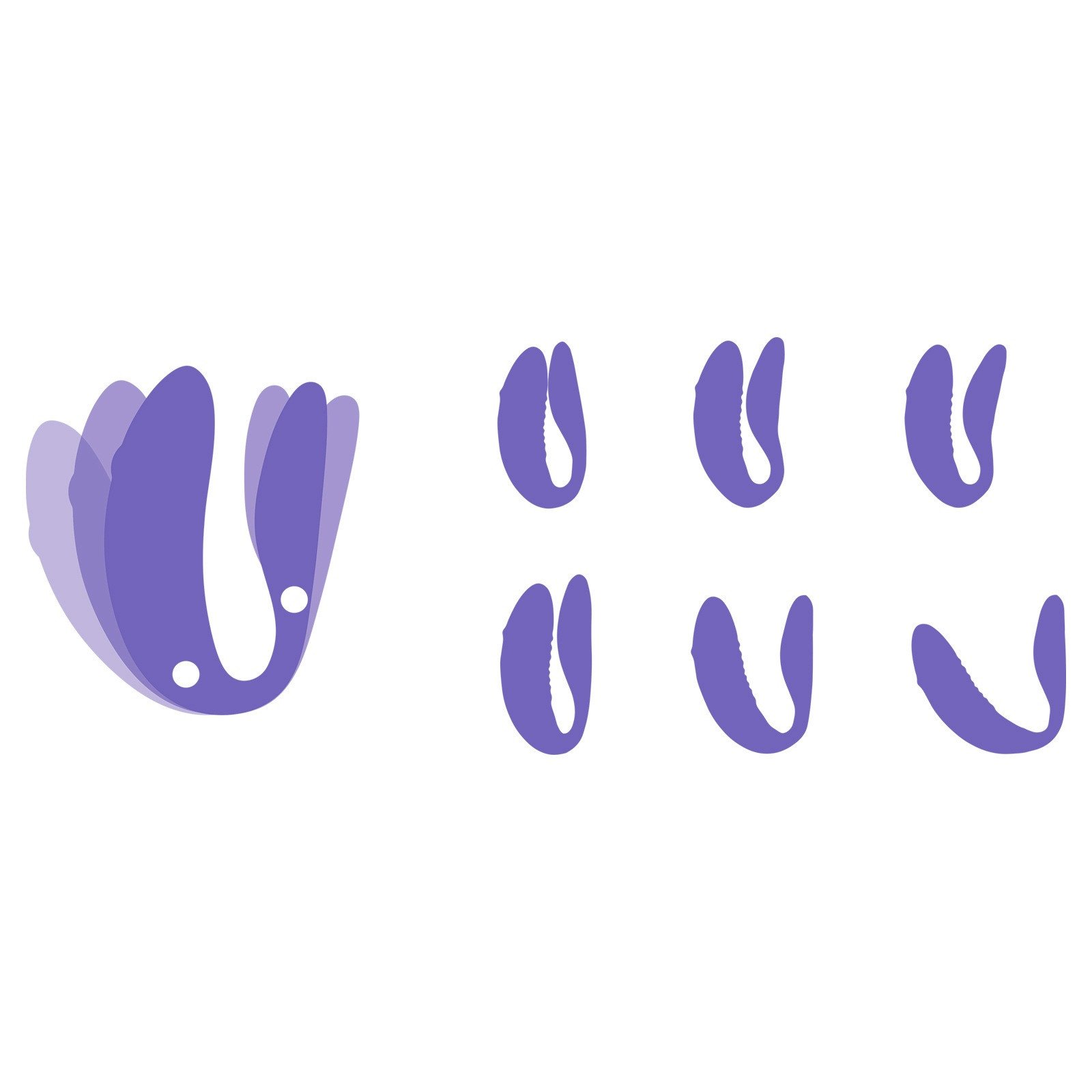 Išmanusis vibratorius poroms „We-Vibe Chorus“ - We-Vibe