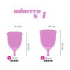 Menstruacinių taurelių ir valiklio rinkinys „Minerva“ - Crushious