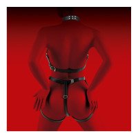 Kūno diržai „Woman Bondage Model 2“ - Virgite