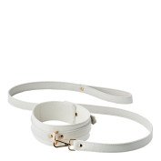 Antkaklio ir pavadėlio rinkinys „Elite Collar & Leash“