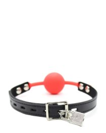 Silikoninis burnos kaištis „Silicone Ball Gag with Padlock“ - Latetobed