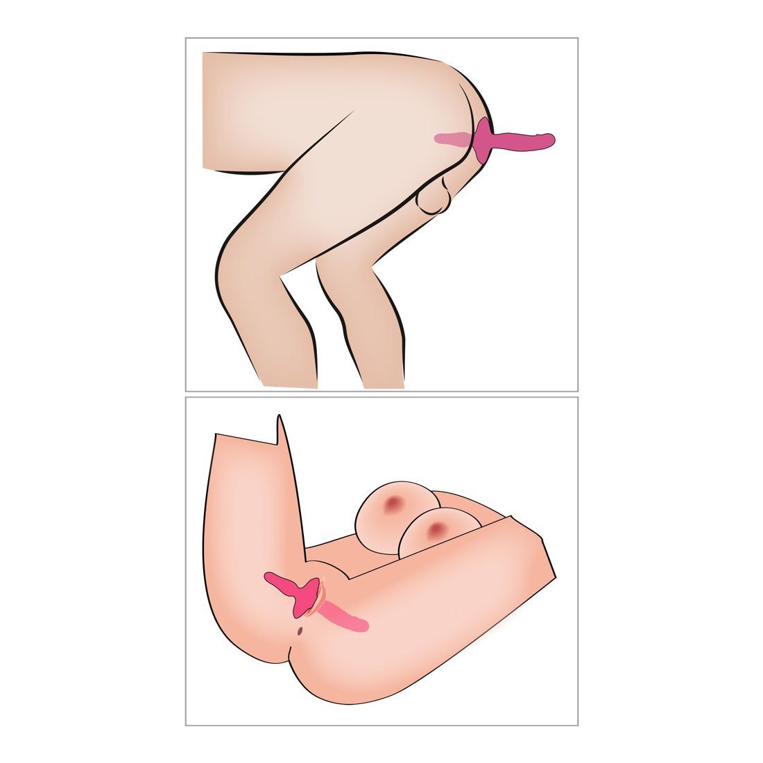 Vibratorius „2 in 1 Vibrator + Butt Plug“ - Couples Choice