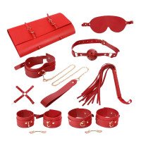Suvaržymo rinkinys „Bondage Set with Carry Bag Red“