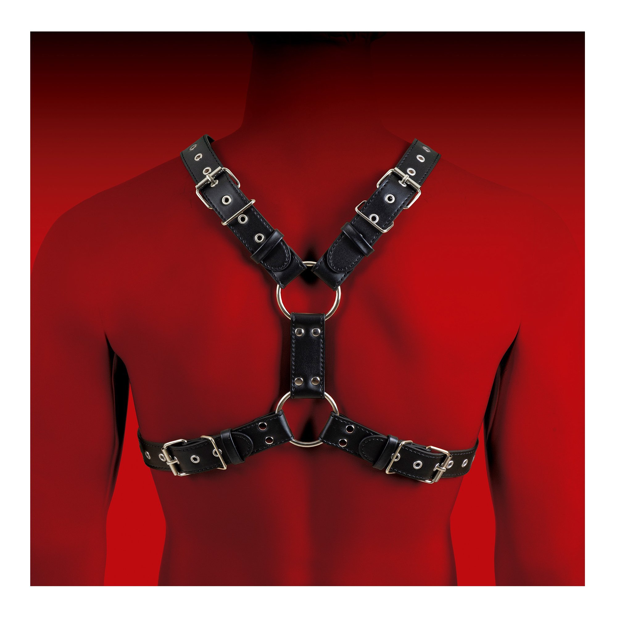 Kūno diržai „Man Bondage Model 5“ - Virgite