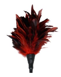 Plunksnų botagėlis „Frisky Feather“ - Fetish Fantasy