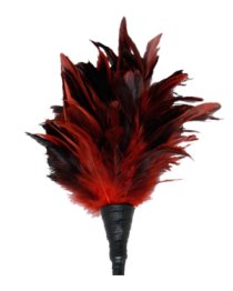 Plunksnų botagėlis „Frisky Feather“ - Fetish Fantasy