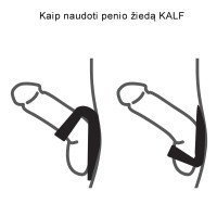 Penio ir sėklidžių žiedas „Kalf“ - Velvor