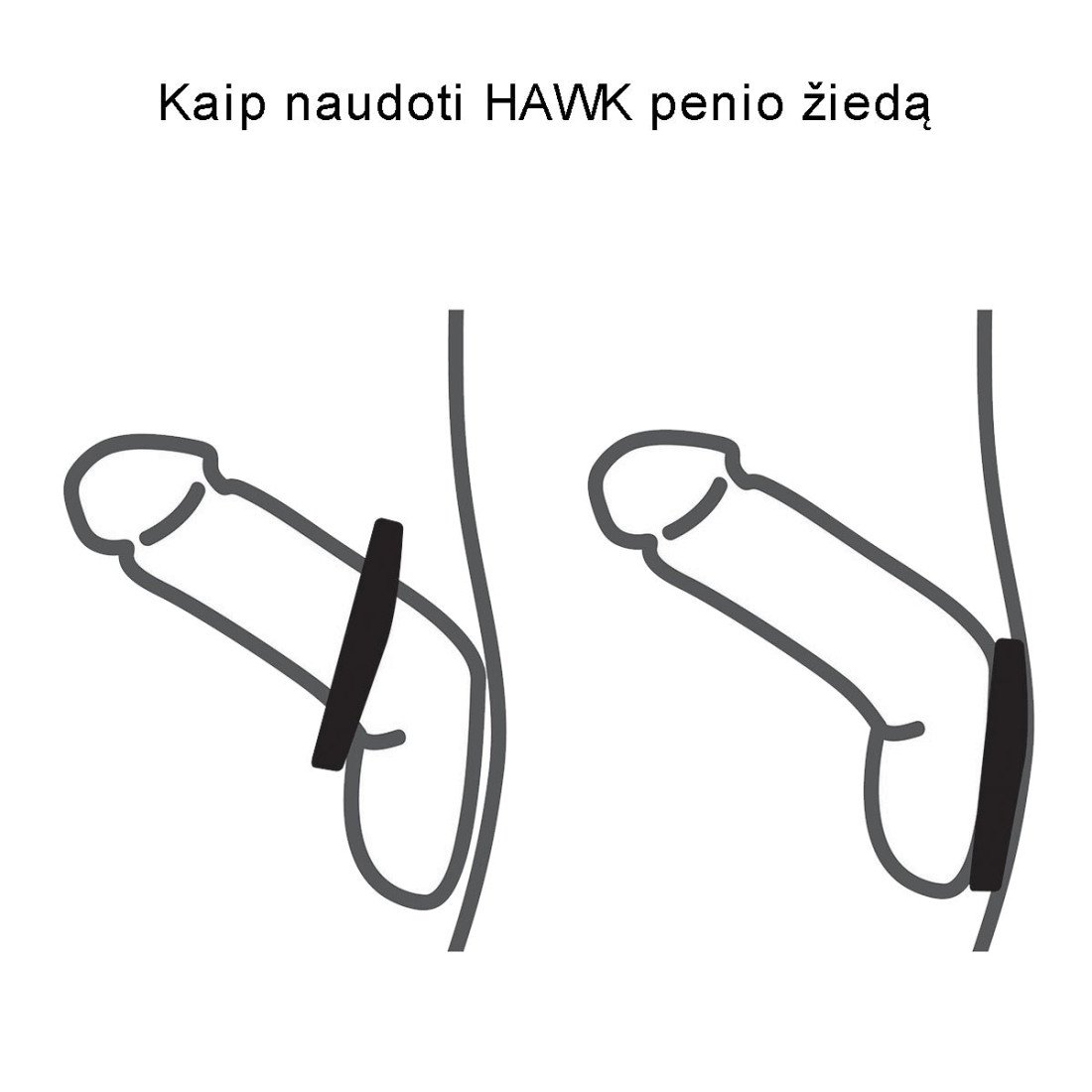 Penio žiedas „Hawk“ - Velvor