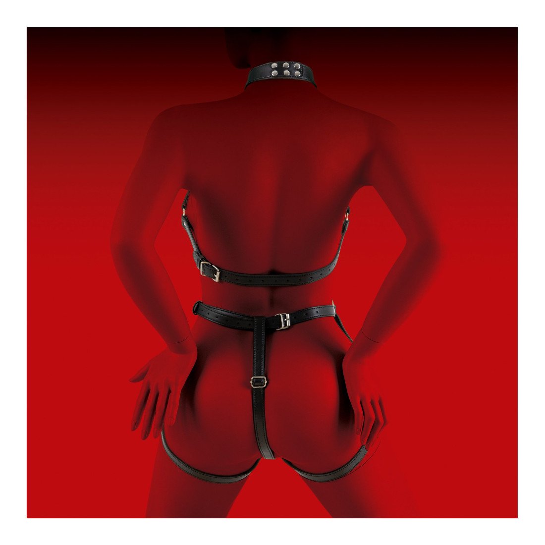 Kūno diržai „Woman Bondage Model 2“ - Virgite