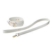 Antkaklio ir pavadėlio rinkinys „Elite Collar & Leash“ - Blaze