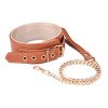 Antkaklio ir pavadėlio rinkinys „Elite Collar & Leash“ - Blaze