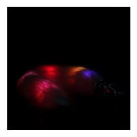 Šviečiantis analinis kaištis „Light-Up Fox Tail“ - Ouch!