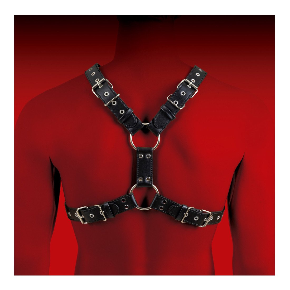 Kūno diržai „Man Bondage Model 5“ - Virgite