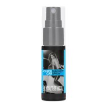Feromoninis purškalas automobiliui „Chick Magnet Car Spray“, 15 ml - PharmQuests of Shots