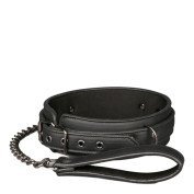 Antkaklio ir pavadėlio rinkinys „Fetish Collar With Leash“