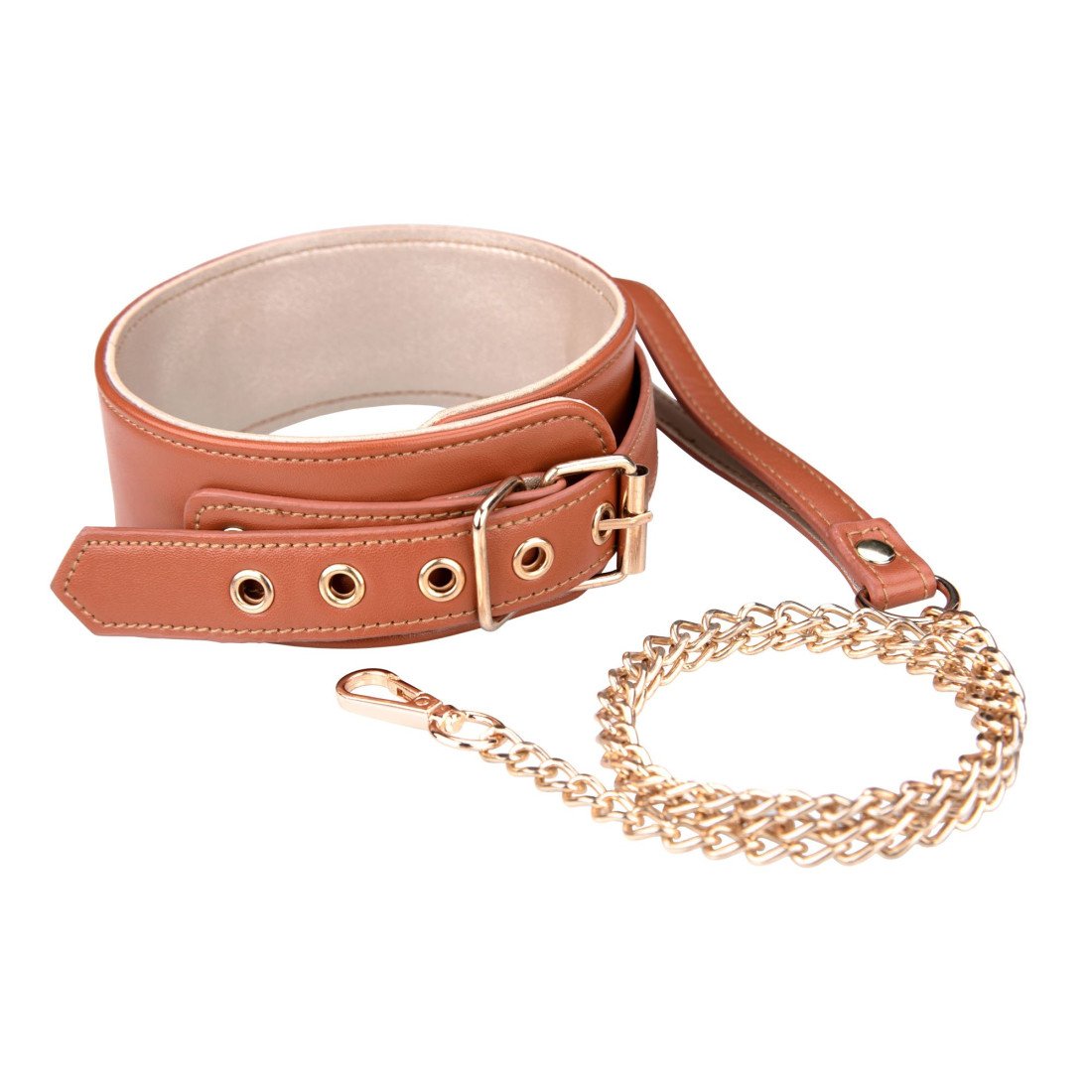 Antkaklio ir pavadėlio rinkinys „Elite Collar & Leash“ - Blaze