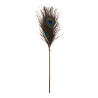 Plunksnų botagas „Dona Peacock“