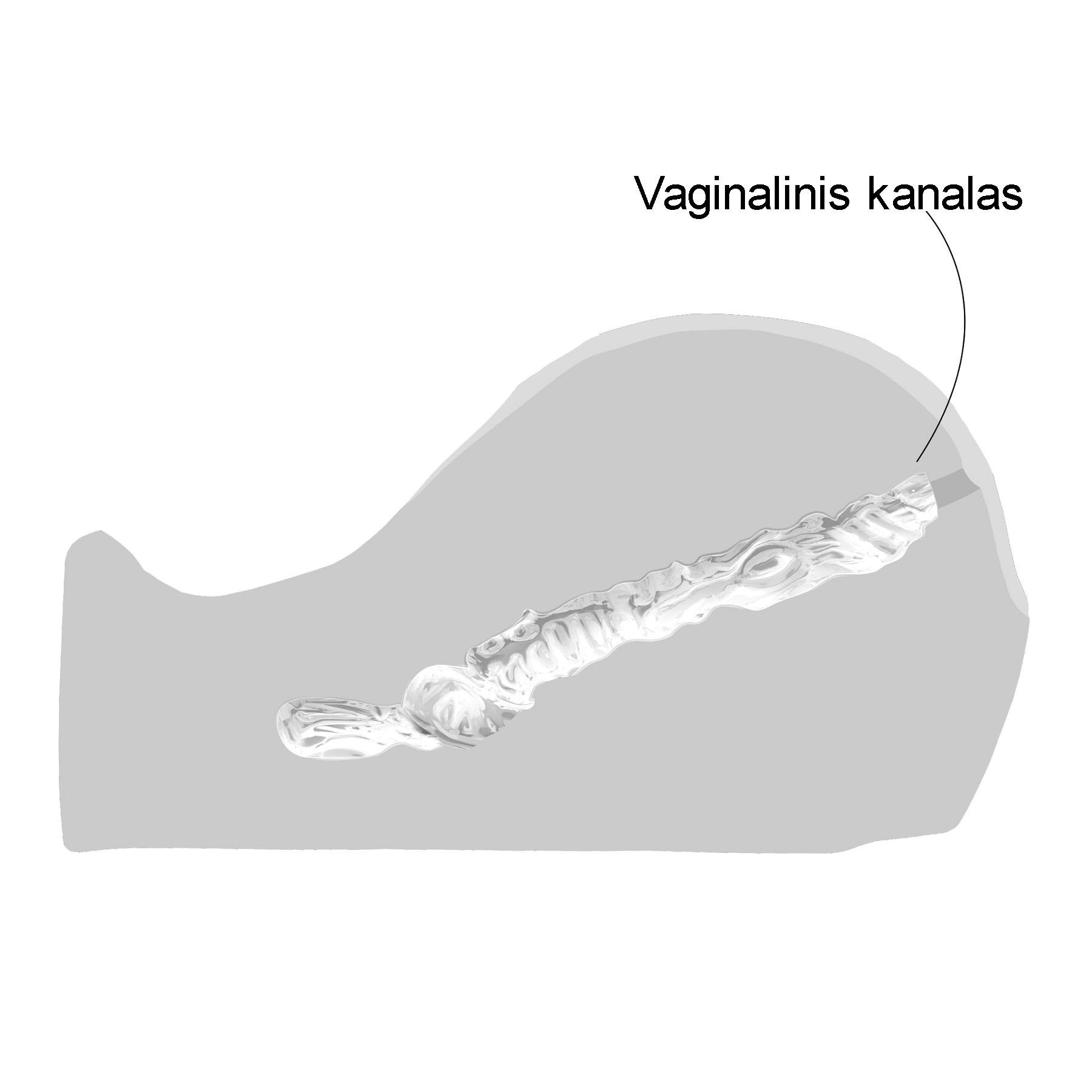 Masturbatorius „See-Through Fuckable Pussy“ - Bangers