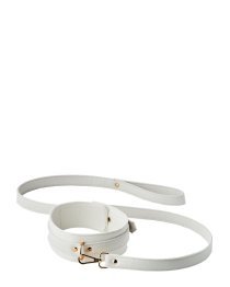 Antkaklio ir pavadėlio rinkinys „Elite Collar & Leash“ - Blaze