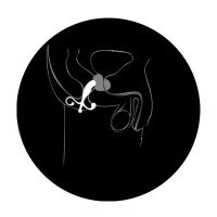 Prostatos masažuoklis „Anal Adventures Prostate Stimulator“ - Blush