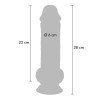 Dildo „Deluxe Dual Density Thick 28 cm“ - Get Real