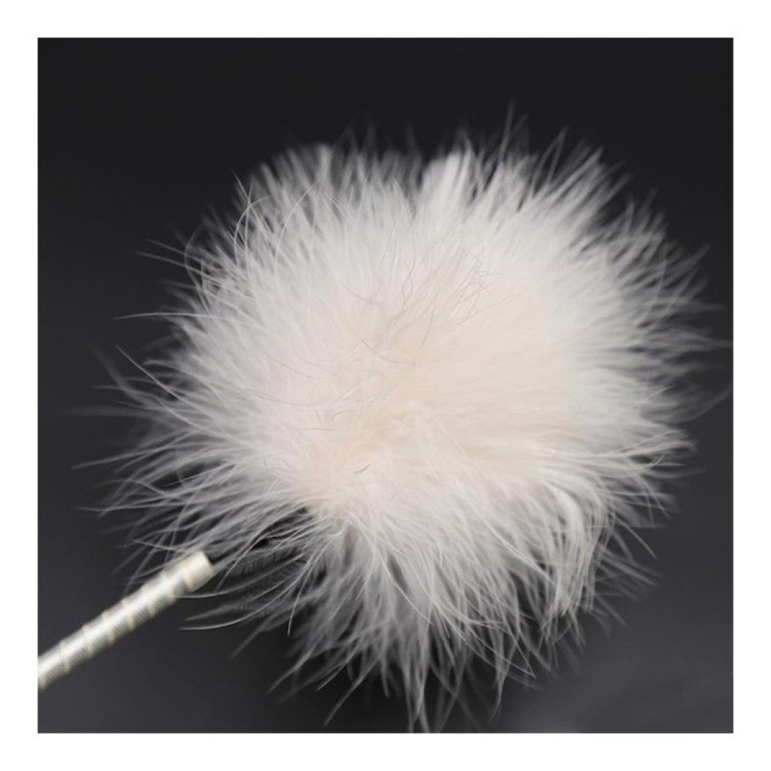 Dvipusis bizūnas „Bowknot Feathers Tickler“ - Latetobed