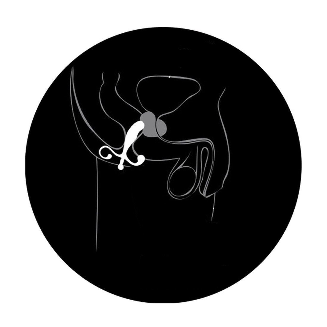 Prostatos masažuoklis „Anal Adventures Prostate Stimulator“ - Blush