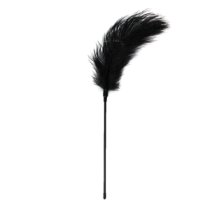 Plunksnų botagas „Feather Tickler“ - EasyToys