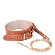 Antkaklio ir pavadėlio rinkinys „Elite Collar & Leash“ - Blaze