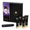 Rinkinys „Naughty Geisha“ - Shunga