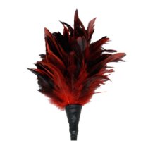 Plunksnų botagėlis „Frisky Feather“ - Fetish Fantasy