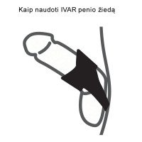 Penio žiedas „Ivar“ - Velvor