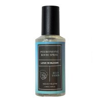 Namų kvapas su feromonais „Blue Ember“, 150 ml - Eye of Love