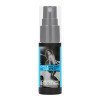 Feromoninis purškalas automobiliui „Chick Magnet Car Spray“, 15 ml - PharmQuests of Shots