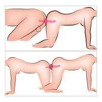 Vibratorius „2 in 1 Vibrator + Butt Plug“ - Couples Choice