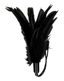Plunksnų botagėlis „Small Feather Tickler“ - Ouch!