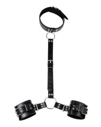 Suvaržymo sistema „Collar and Wirst Restraints“ - Latetobed
