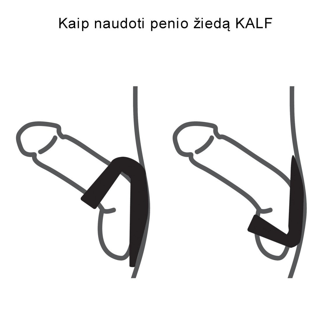 Penio ir sėklidžių žiedas „Kalf“ - Velvor