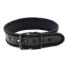 Antkaklis „Neoprene Puppy Collar“ - Latetobed