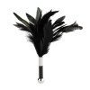 Plunksnų botagėlis „Feather Tickler“ - Rimba