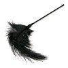 Plunksnų botagas „Feather Tickler“ - EasyToys