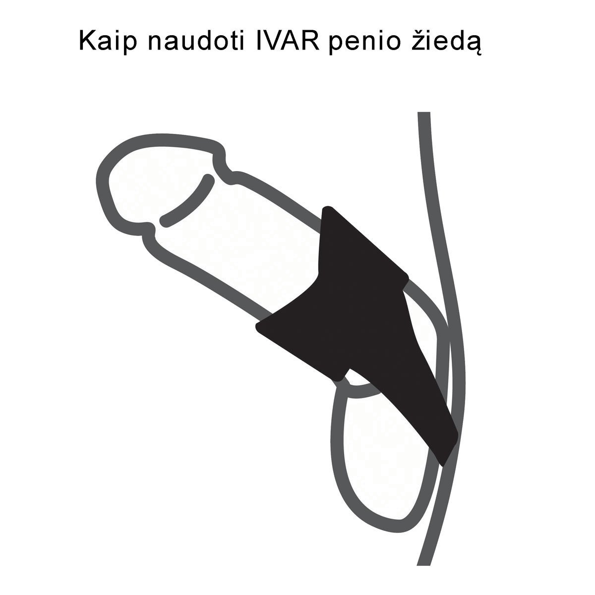 Penio žiedas „Ivar“ - Velvor