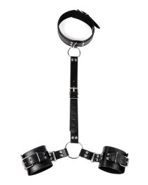 Suvaržymo sistema „Collar and Wirst Restraints“ - Latetobed