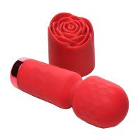 Vibruojantis masažuoklis „Bloomgasm“ - XR